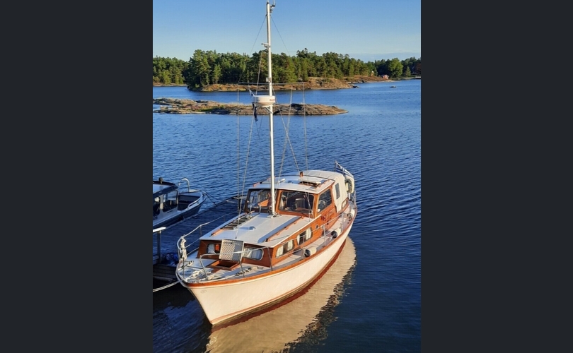 Family Cruiser-kuva-3